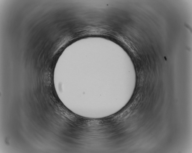 X0000096681211200803041234