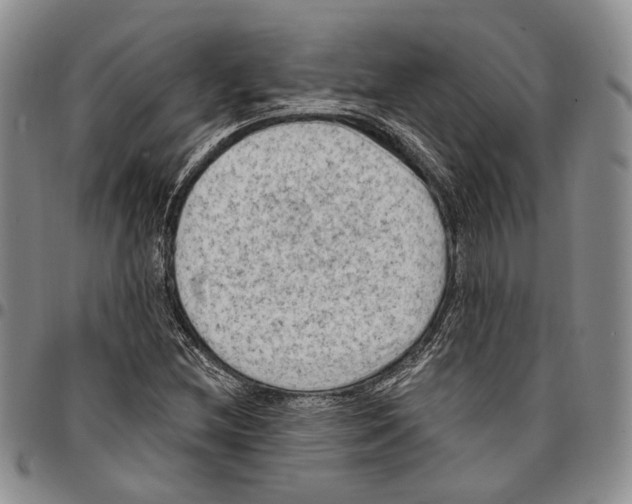 X0000096681212200803041234