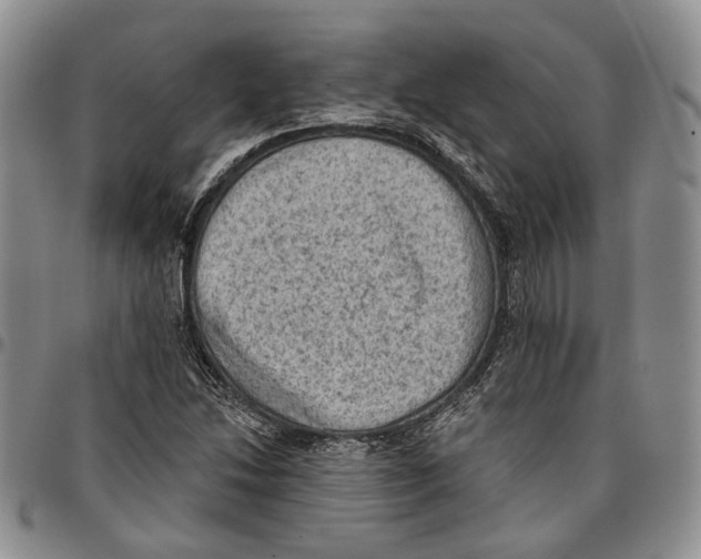 X0000096681214200803041234