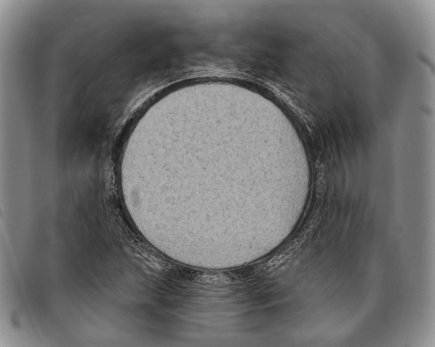 X0000096681215200803041234