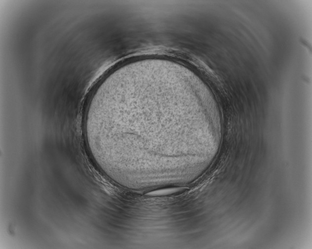 X0000096681216200803041234