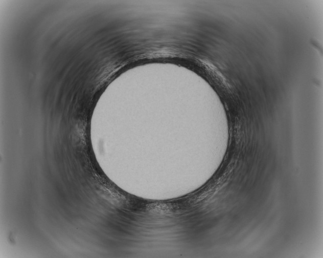 X0000096681217200803041234