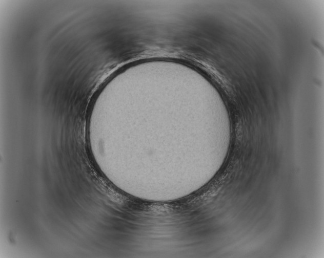 X0000096681220200803041234