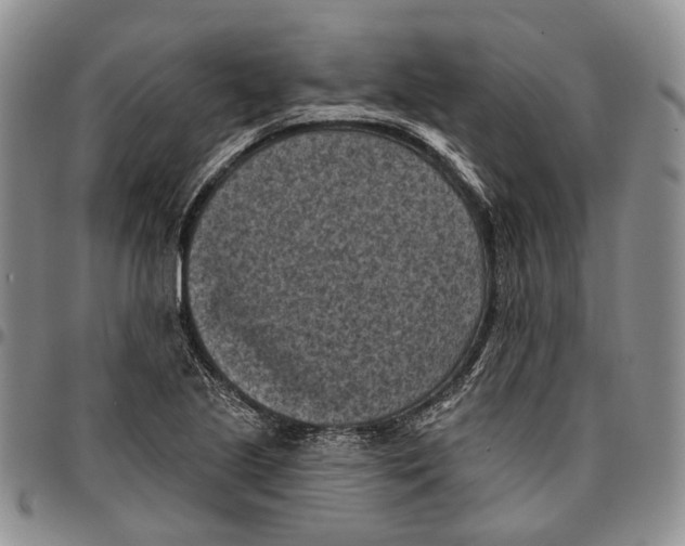 X0000096681221200803041234