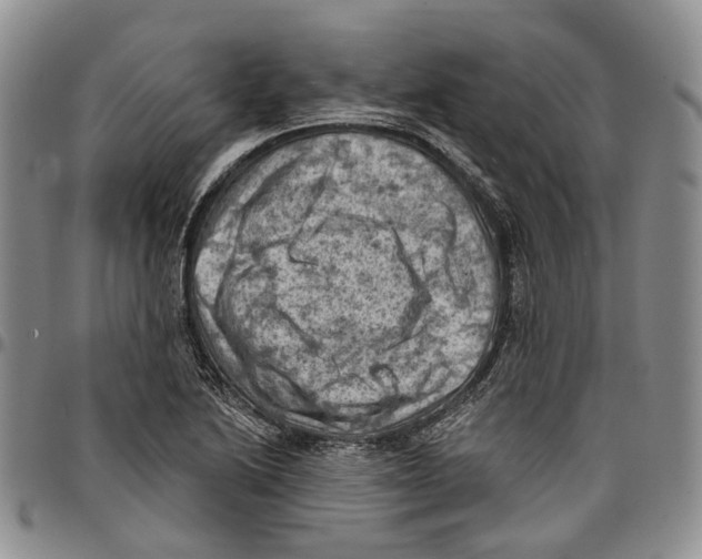 X0000096681222200803041234