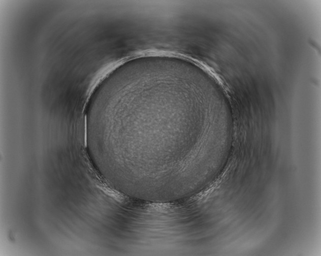 X0000096681223200803041234