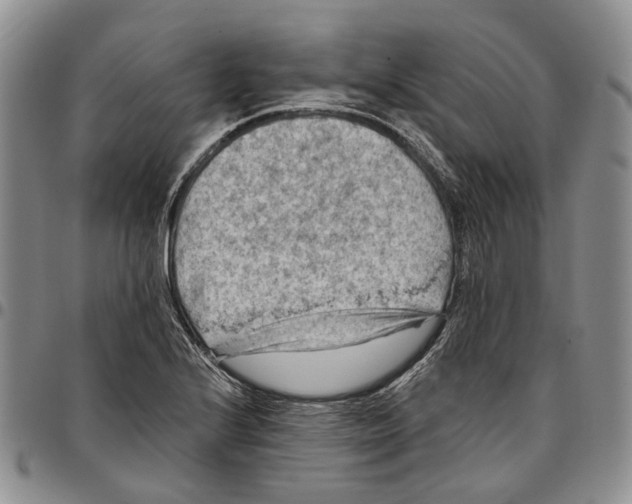 X0000096681224200803041234