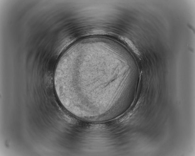 X0000096681225200803041234