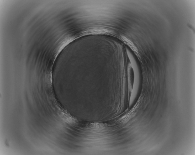 X0000096681226200803041234
