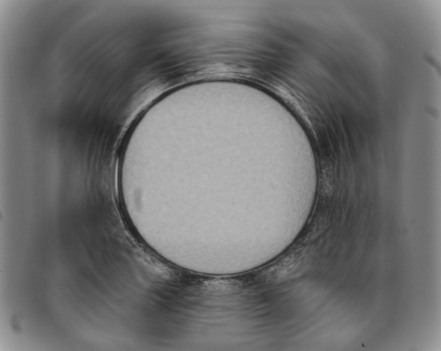 X0000096681227200803041234