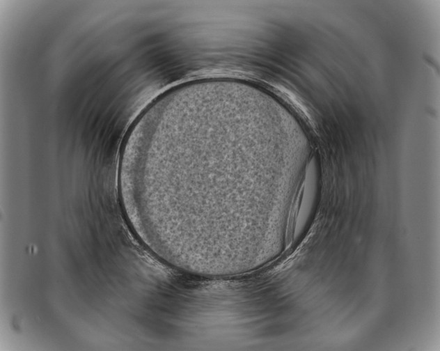 X0000096681228200803041234