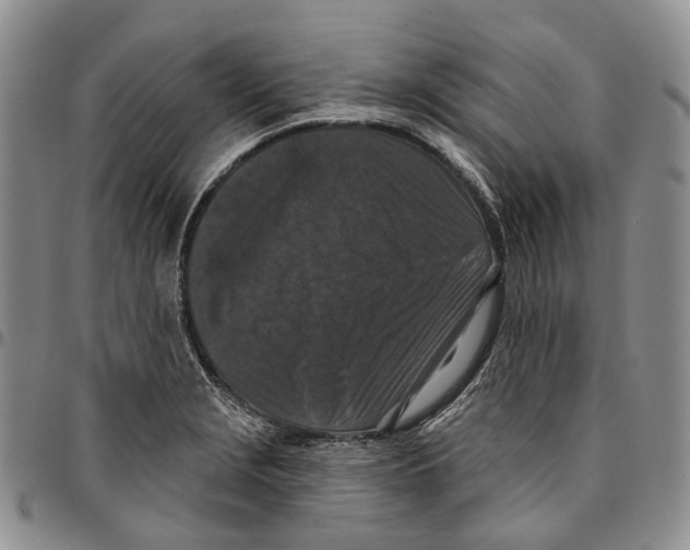 X0000096681229200803041234