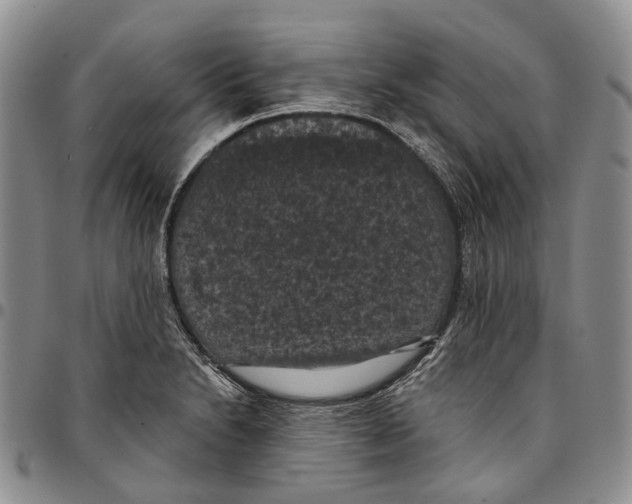 X0000096681230200803041234