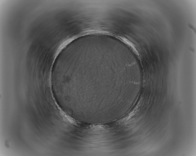 X0000096681231200803041234
