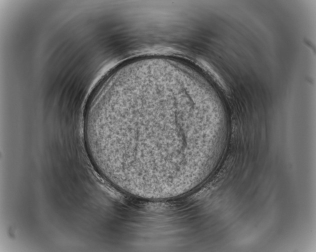 X0000096681232200803041234