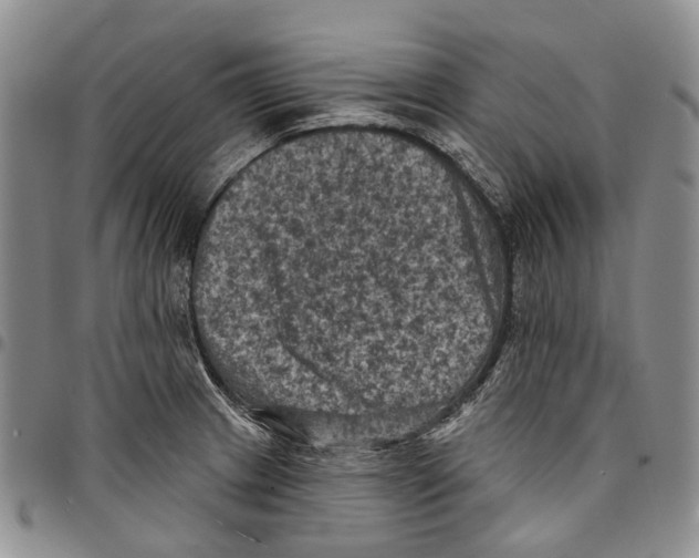 X0000096681233200803041234