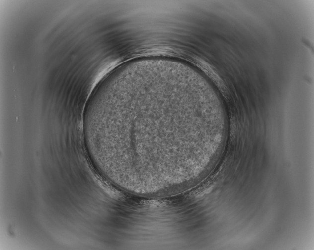 X0000096681234200803041234