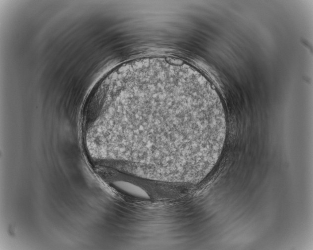 X0000096681235200803041234