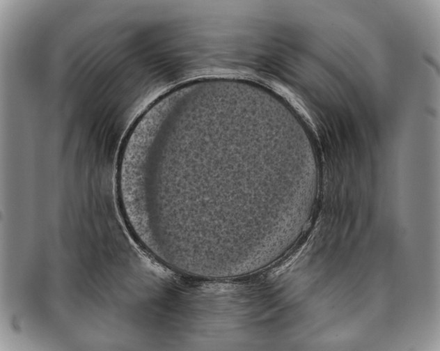 X0000096681237200803041234
