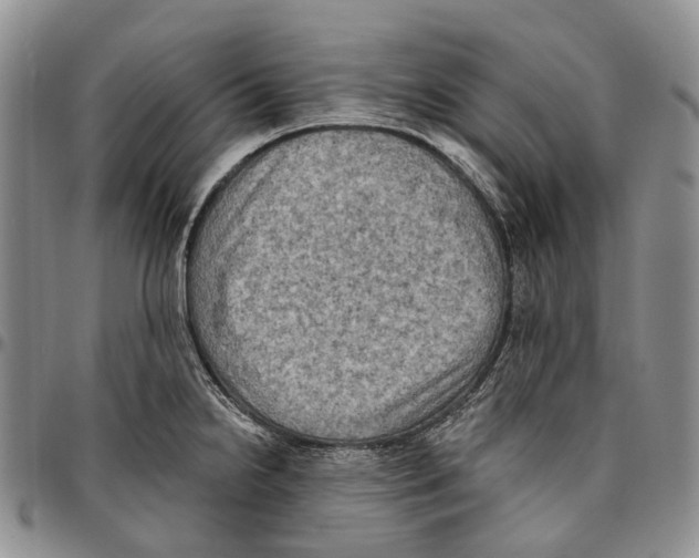 X0000096681238200803041234