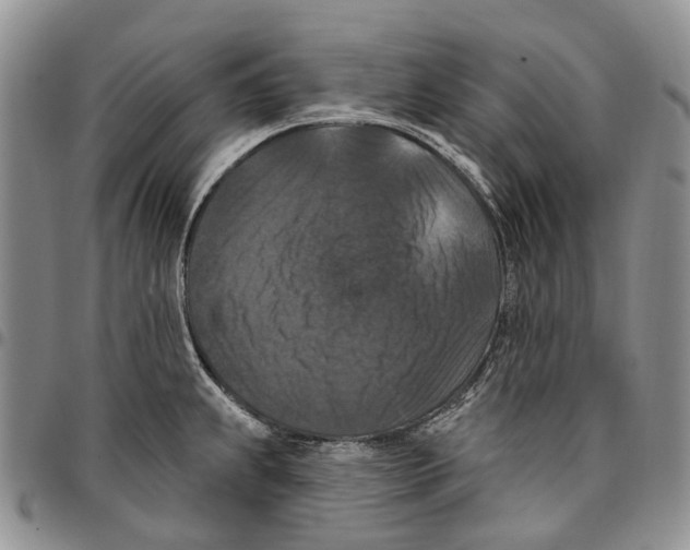 X0000096681239200803041234