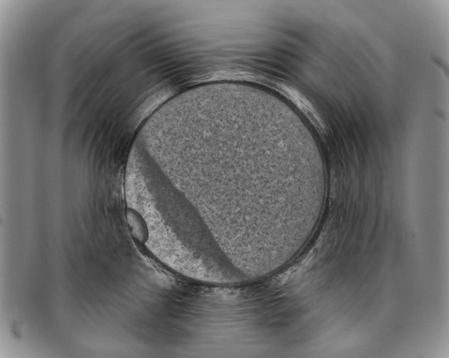 X0000096681241200803041234
