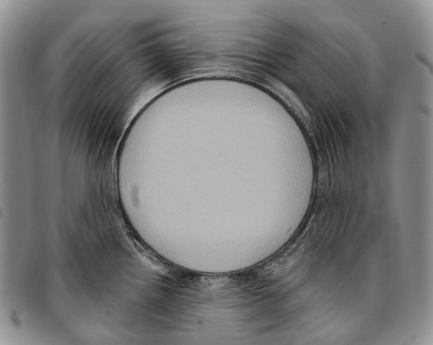 X0000096681242200803041234