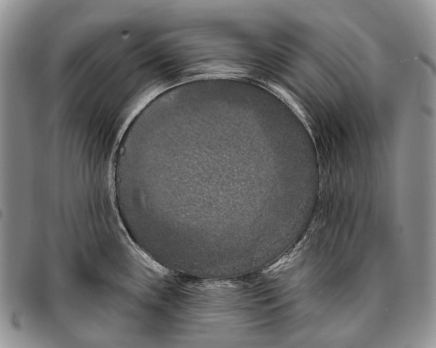 X0000096681243200803041234