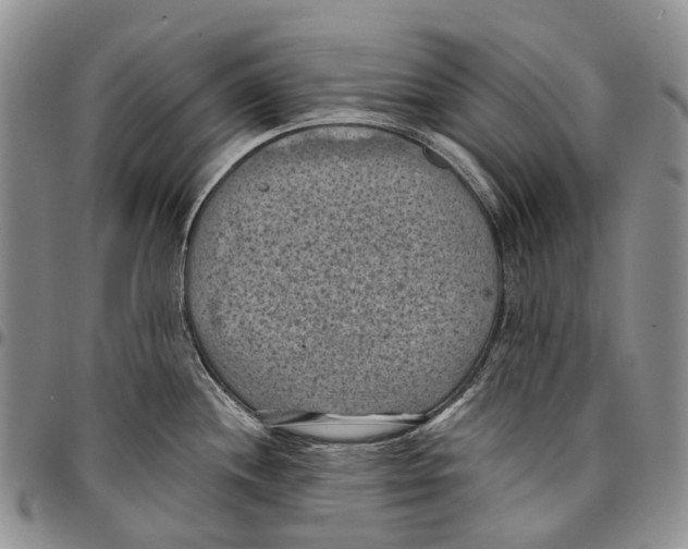 X0000096681244200803041234