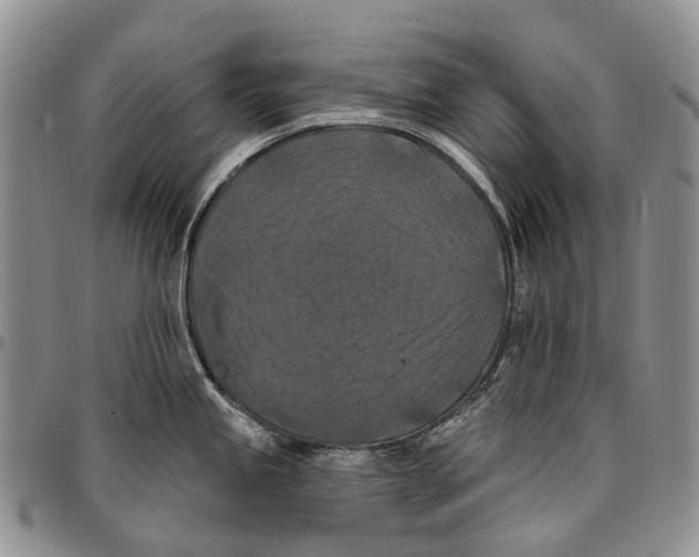 X0000096681245200803041234
