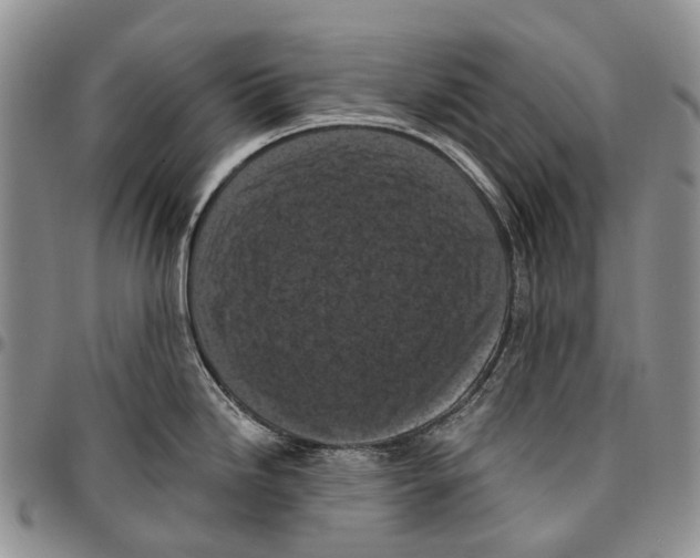 X0000096681246200803041234