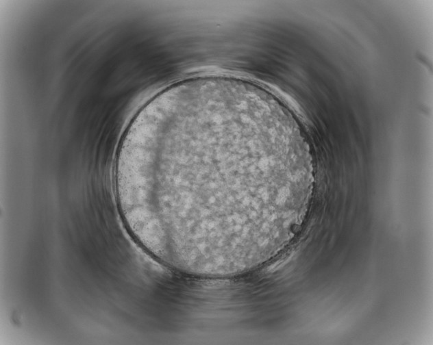 X0000096681247200803041234
