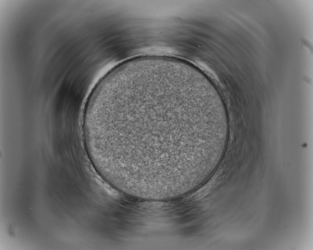 X0000096681248200803041234