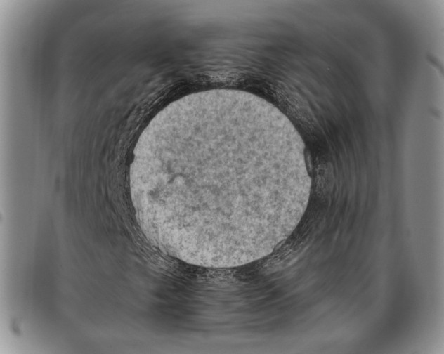 X0000096681249200803041233