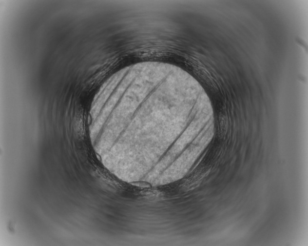 X0000096681250200803041233