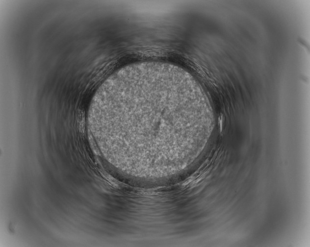 X0000096681251200803041233