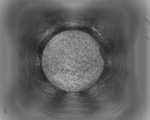 X0000096681253200803041233