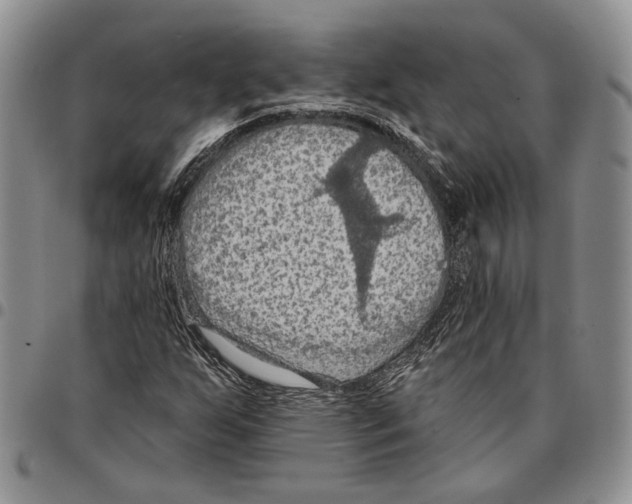 X0000096681255200803041233