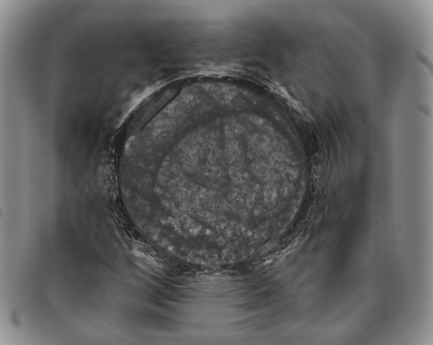 X0000096681256200803041233