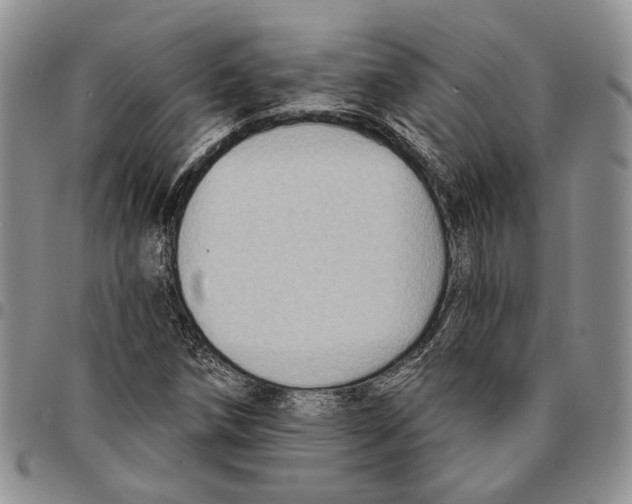 X0000096681258200803041233