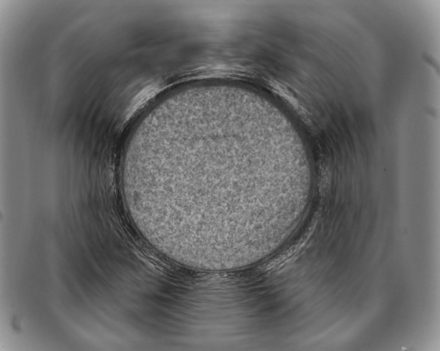 X0000096681259200803041233