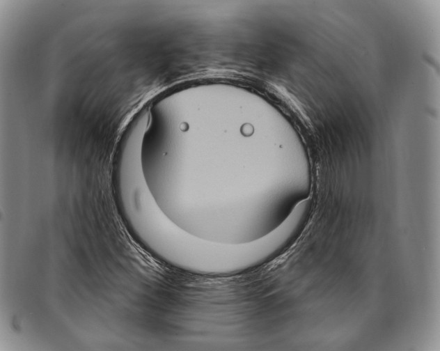 X0000096681260200803041233