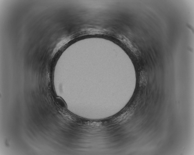 X0000096681261200803041233
