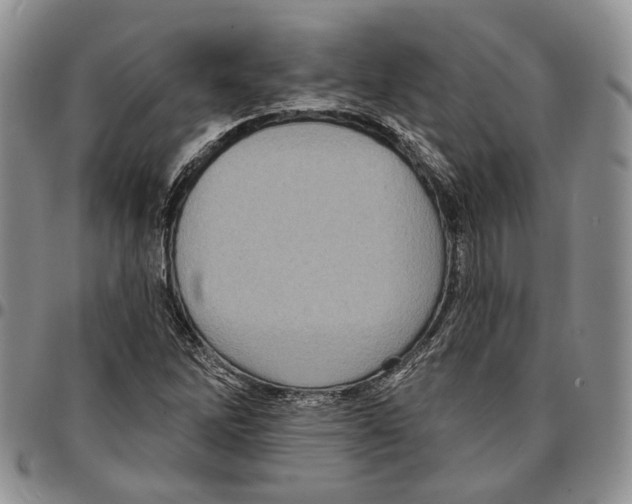 X0000096681262200803041233