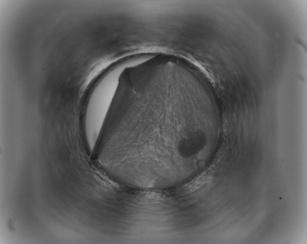 X0000096681263200803041233
