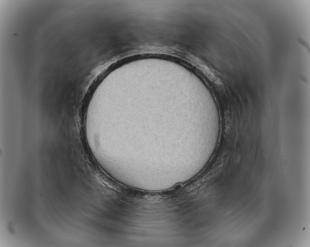 X0000096681264200803041233
