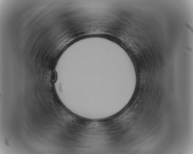 X0000096681265200803041233