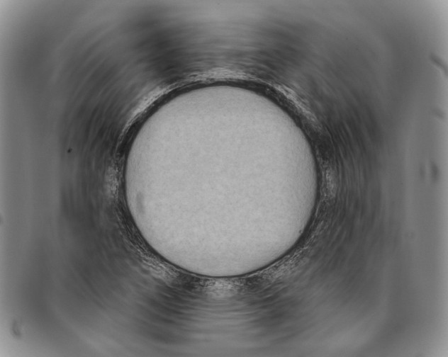 X0000096681266200803041233