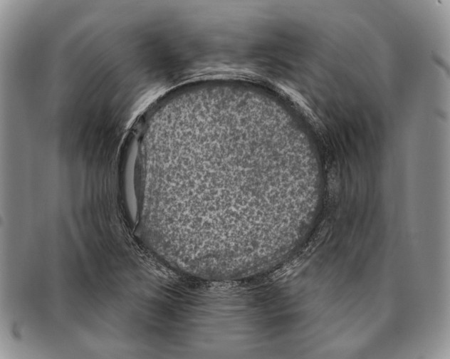 X0000096681267200803041233