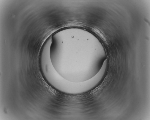X0000096681268200803041233